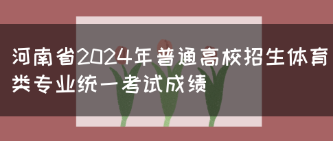 河南省2024年普通高校招生体育类专业统一考试成绩