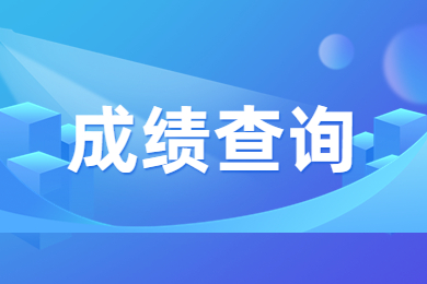 2024年河南专升本成绩查询入口