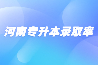 2024年河南专升本录取率多少？